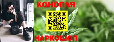 мяу мяу мука Нальчик