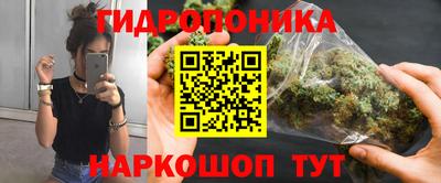 мяу мяу мука Нальчик